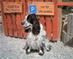 Urlauberparkplatz